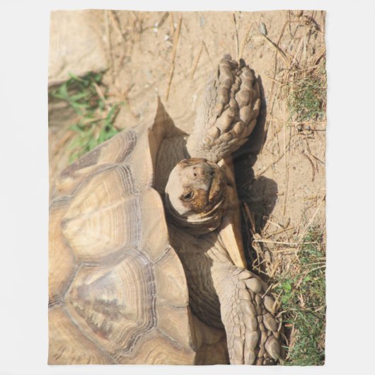 Ala Aldabra Fleecedecke (Vorderseite)