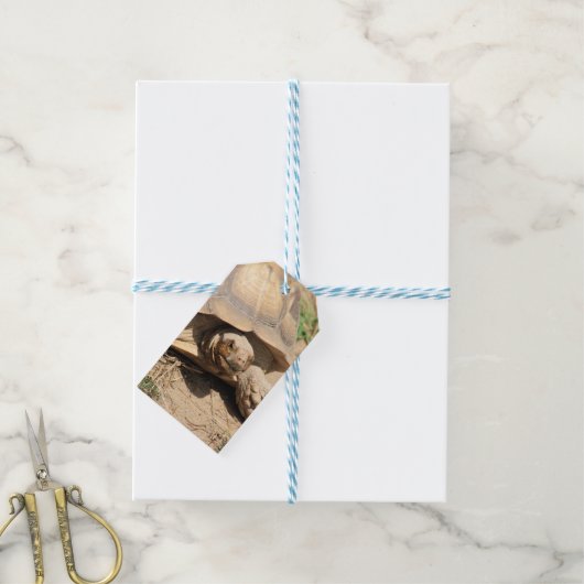 Ala aldabra geschenkanhänger (Mit Garn)