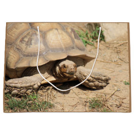 Ala aldabra große geschenktüte