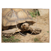 Ala aldabra große geschenktüte (Rückseite)