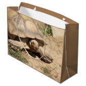 Ala aldabra große geschenktüte (Rückseite Schrägansicht)