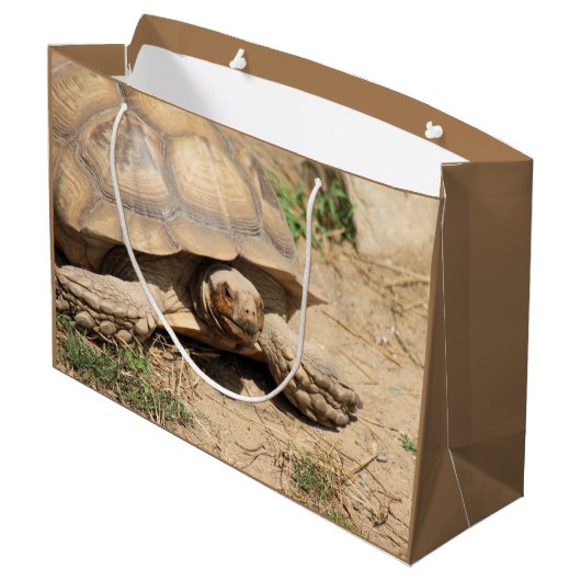 Ala aldabra große geschenktüte (Rückseite Schrägansicht)