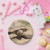 Ala aldabra pappteller (Party)