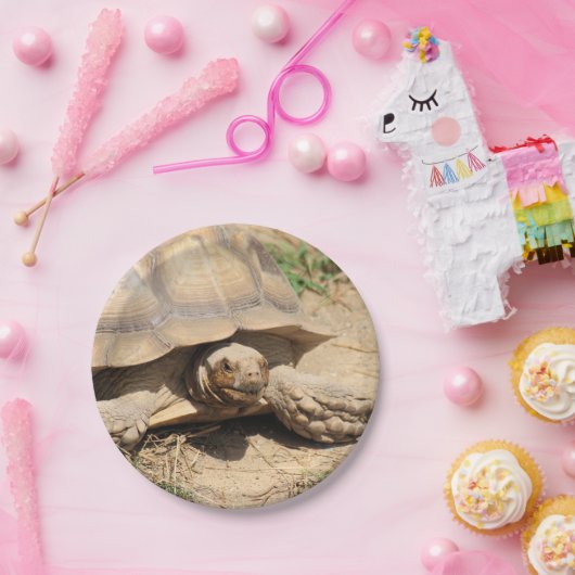 Ala aldabra pappteller (Party)