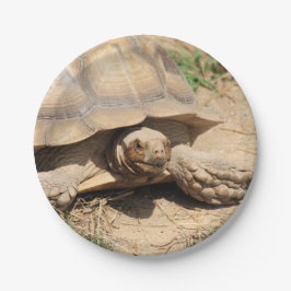 Ala aldabra pappteller