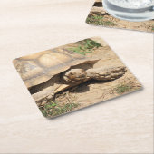 Ala Aldabra Rechteckiger Pappuntersetzer (angewinkelt)