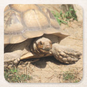 Ala Aldabra Rechteckiger Pappuntersetzer (Vorderseite)