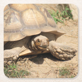 Ala Aldabra Rechteckiger Pappuntersetzer