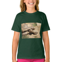 Ala Aldabra