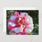 Alabama Camellia Blume Postkarte (Vorne/Hinten)