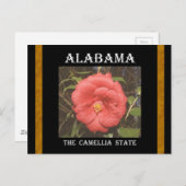 Alabama Camellia (rot) Postkarte (Vorne/Hinten)