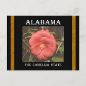 Alabama Camellia (rot) Postkarte (Vorderseite)