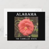 Alabama Camellia (rot) Postkarte (Vorne/Hinten)