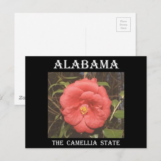 Alabama Camellia (rot) Postkarte (Vorne/Hinten)