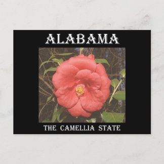 Alabama Camellia (rot) Postkarte