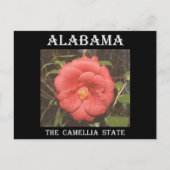 Alabama Camellia (rot) Postkarte (Vorderseite)