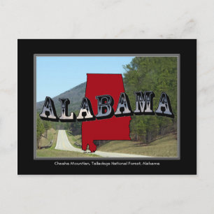 Alabama Cheaha Mountain Talladega Forest Post Card Postkarte