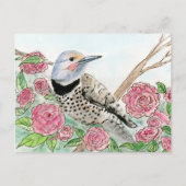 Alabama Postcard Postkarte (Vorderseite)