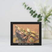 Alabama Red Bellied Turtle 2 (Alabama) Postkarte (Stehend Vorderseite)