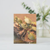 Alabama Red Bellied Turtle 2 (Alabama) Postkarte (Stehend Vorderseite)