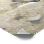 Alabama Sea Life #2 Poster (Ecke)