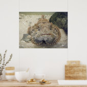 Alabama Sea Life #3 Canvas Print Poster (Küche)