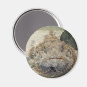 Alabama Sea Life #3 Magnet (Vorderseite/Rückseite)