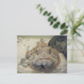 Alabama Sea Life #3 Postkarte (Stehend Vorderseite)