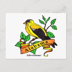 Alabama Staat Bird Postkarte