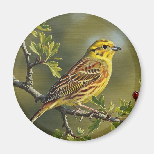 Alabama Staat Bird Yellowhammer Magnet (Vorne)