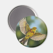 Alabama Staat Bird Yellowhammer Magnet (Vorderseite/Rückseite)
