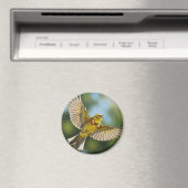 Alabama Staat Bird Yellowhammer Magnet (In Situ (Geschirrspüler))