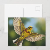 Alabama Staat Bird Yellowhammer Postkarte (Vorne/Hinten)