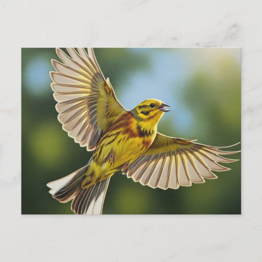 Alabama Staat Bird Yellowhammer Postkarte (Vorderseite)