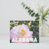 Alabama Staat Blume, Kamelien Postkarte (Stehend Vorderseite)