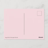 Alabama Staat Blume, Kamelien Postkarte (Rückseite)