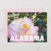 Alabama Staat Blume, Kamelien Postkarte (Vorne/Hinten)