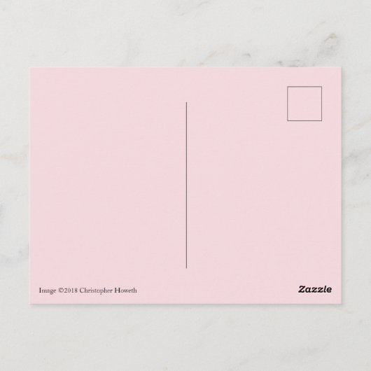 Alabama Staat Blume, Kamelien Postkarte (Rückseite)