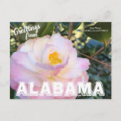 Alabama Staat Blume, Kamelien Postkarte (Vorderseite)