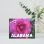 Alabama Staat Blume, Kamelien Postkarte (Stehend Vorderseite)