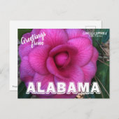 Alabama Staat Blume, Kamelien Postkarte (Vorne/Hinten)