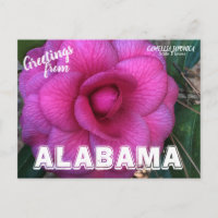 Alabama Staat Blume, Kamelien Postkarte
