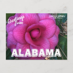 Alabama Staat Blume, Kamelien Postkarte