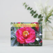 Alabama Staat Blume - Kamelien Postkarte (Stehend Vorderseite)