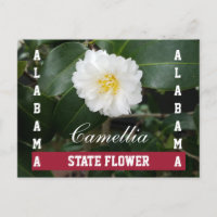 Alabama Staat Blume
