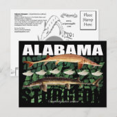 Alabama Sturgeon-Collage-Postcard Postkarte (Vorne/Hinten)