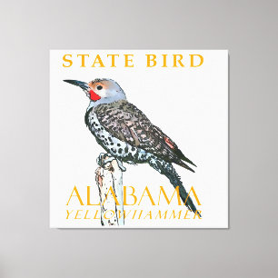 Alabama-Territorium-Vogel Der Gemeine Buntspecht Leinwanddruck