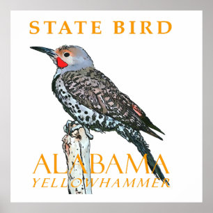 Alabama-Territorium-Vogel Der Gemeine Buntspecht Poster
