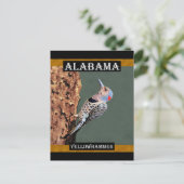 Alabama Yellowhammer Postkarte (Stehend Vorderseite)