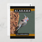 Alabama Yellowhammer Postkarte (Vorne/Hinten)